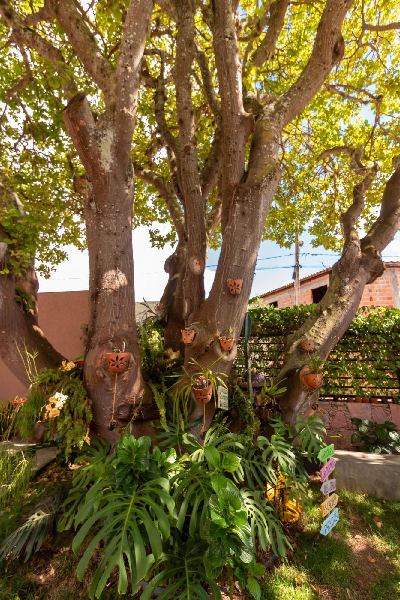Villa Matilde Mucugê Esterno foto